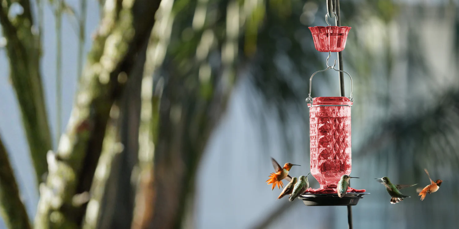 Invite Nature Back to Your Garden