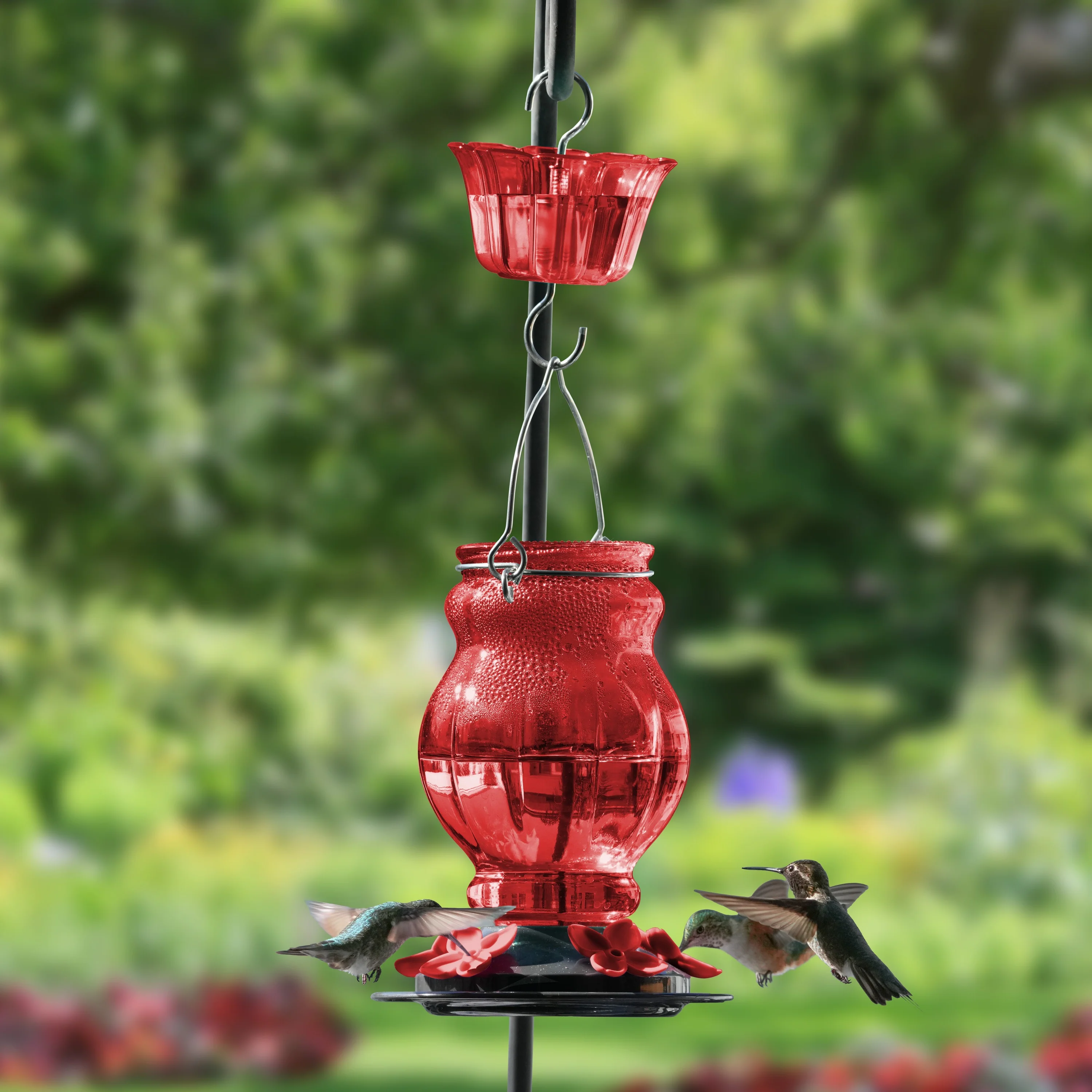 Glass Hummingbird Feeders